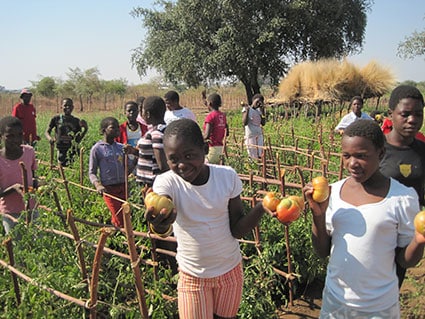 2013 – Mozambique – Microempresas en Chitima (Tete)
