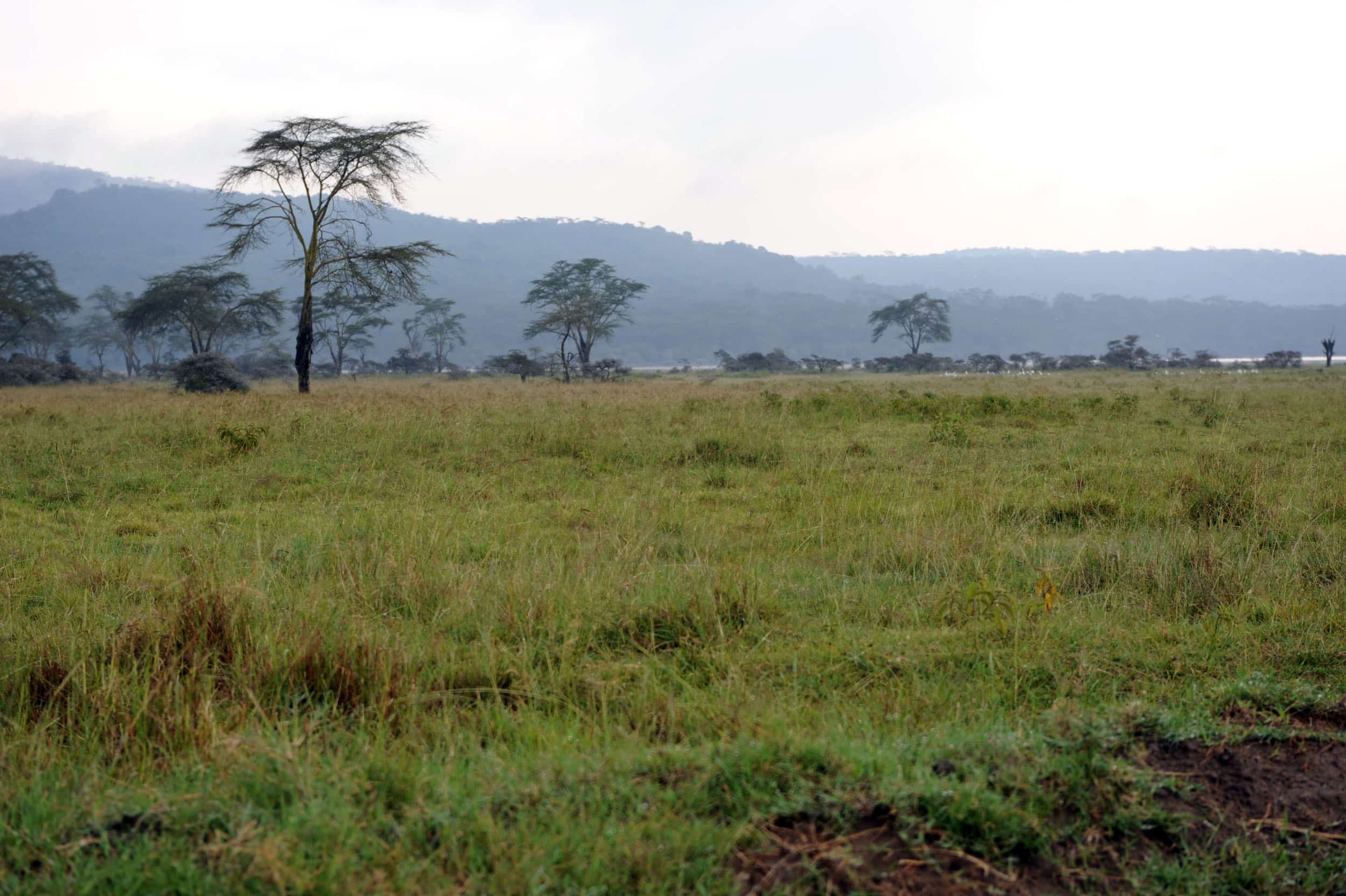 2010 – Camerún – Formación profesional de agricultura sostenible