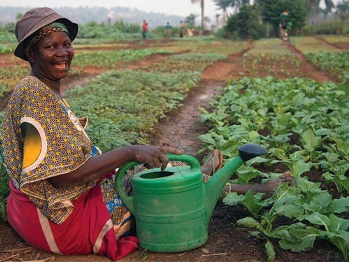 Proyectos de Desarrollo 2022 - Harambee ONGD - Agricultura ecológica y Sostenible