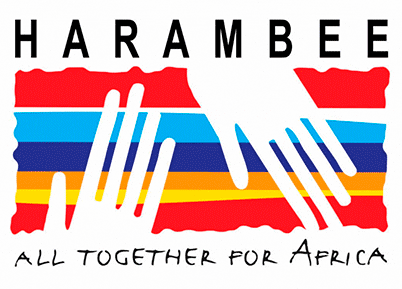 Harambee ONGD - Aniversario 20 - Juntos por África