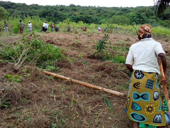 Agricultura sostenible y promoción de las mujeres agricultoras. Harambee Ongd - Proyectos de desarrollo 2023