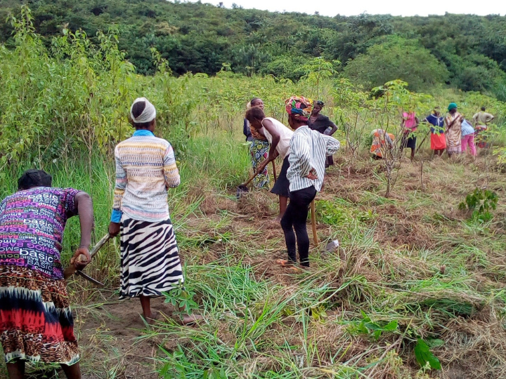 Agricultura sostenible y promoción de las mujeres agricultoras. Harambee Ongd - Proyectos de desarrollo 2023