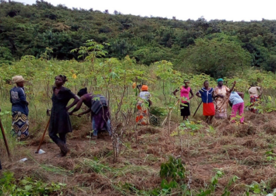 Agricultura sostenible y promoción de las mujeres agricultoras