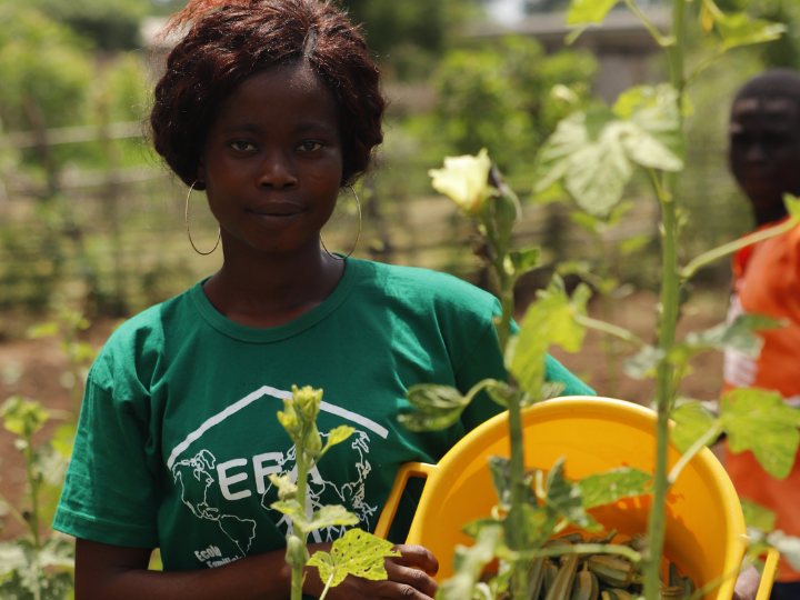 PROYECTOS DE DESARROLLO 2021 -Harambee ONGD-Escuelas agrarias en Kolara y Fokamezo