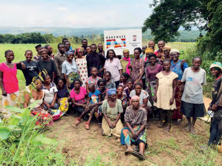 PROYECTOS DE DESARROLLO 2020 -Harambee ONGD- Lucha contra la inseguridad alimentaria en Kinshasa y bajo Congo. Mejorar y diversificar las explotaciones agrarias propiciando un mayor acceso al agua (Fase II)