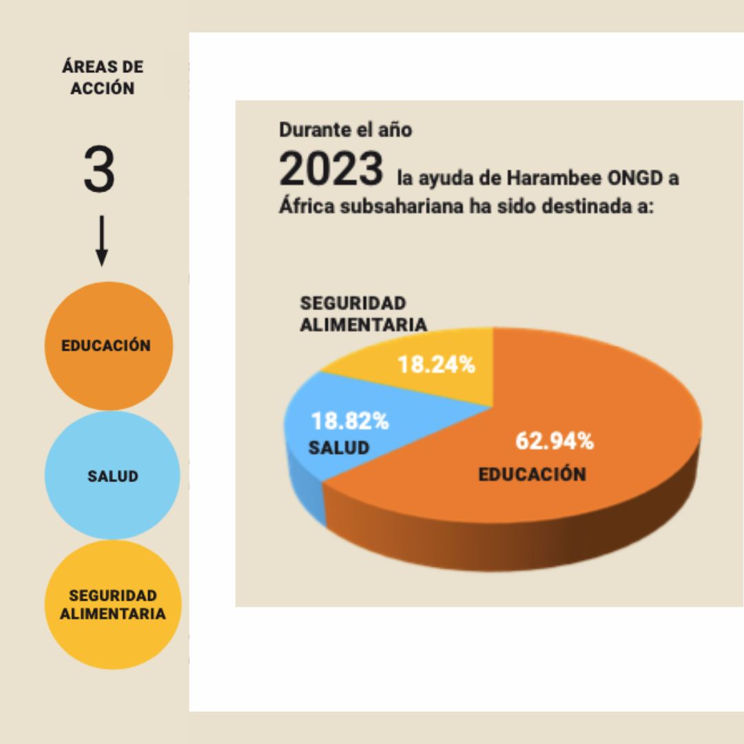 Noticias Harambee 2024 - Memoria 2023 de Harambee ONGD, un año más impulsando el progreso en África subsahariana