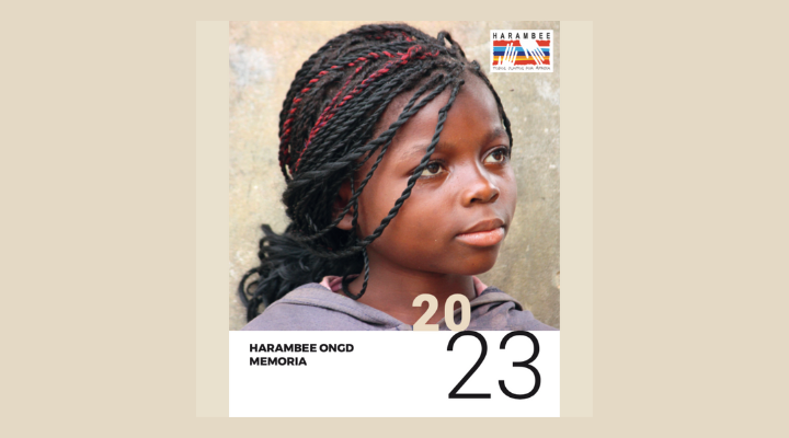 Noticias Harambee 2024 - Memoria 2023 de Harambee ONGD, un año más impulsando el progreso en África subsahariana
